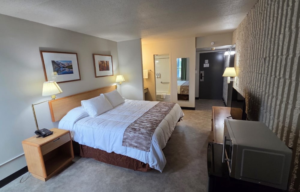 New King room New King room